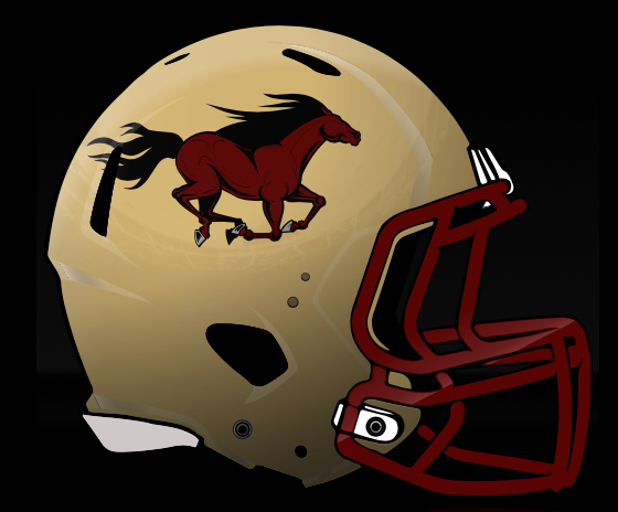 STL_Stallions_Gold_Helmet.jpg